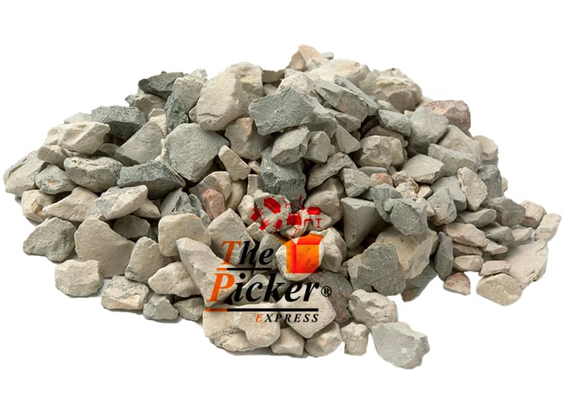 nettoyage_par_debris_the_picker_express_logo