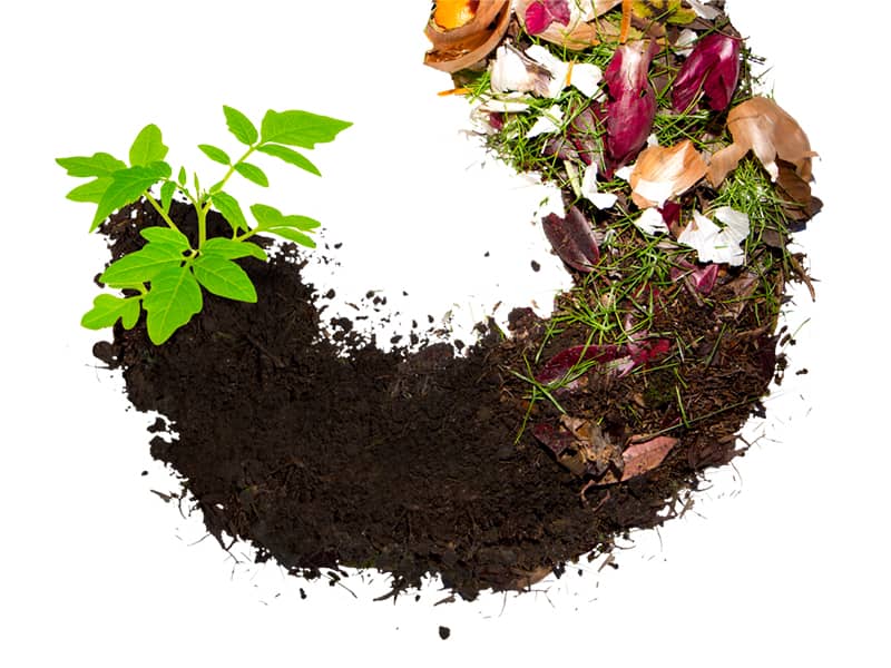 les déchets de jardin-the-picker-express