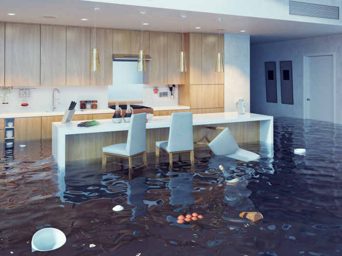 problèmes-inondations-nettoyage-the-picker-express